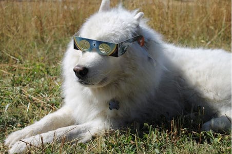 Baader Solar Viewer AstroSolar® Silver/Gold Eclipse Glasses (single piece packaging) - 2420001 - Image 15