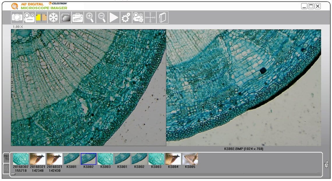 Celestron Digital Microscope Imager HD 5MP - 44422 - Image 4