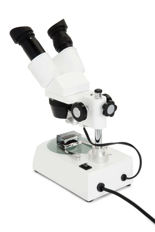 Celestron S10-60 Stereo Microscope - 44208 - Image 3