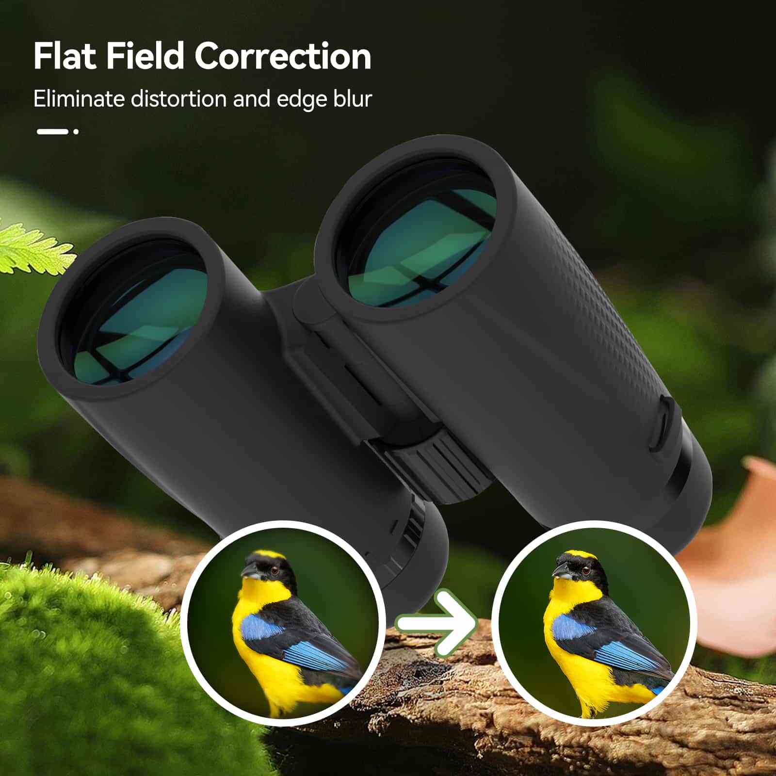 Svbony SA205 8x42ED Flat-field Binoculars BaK-4 Prism IP67 Waterproof - F9389A - Image 5
